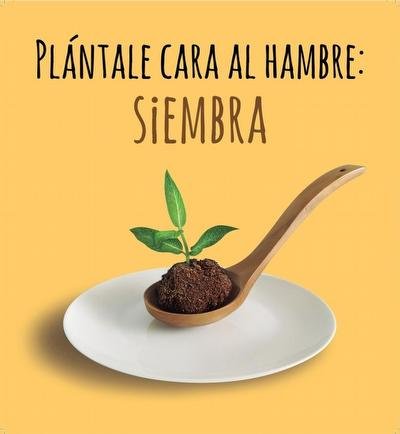 FOTO: